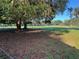 Picturesque land with a large tree providing shade, showcasing a serene and natural setting with development potential at 17380 Sweetwater Rd, Dade City, FL 33523