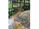 Picturesque stream with lush greenery along its banks, offering a serene natural setting at 17380 Sweetwater Rd, Dade City, FL 33523
