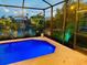 Screened-in pool with lush landscaping and outdoor lighting for an evening swim at 18018 Malakai Isle Dr, Tampa, FL 33647