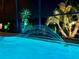 Inviting pool with illuminated water feature and tropical landscaping, perfect for relaxation at 18018 Malakai Isle Dr, Tampa, FL 33647