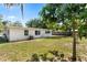 Backyard featuring a green lawn, shade trees, and the back of the home at 404 Courtney Dr, Temple Terrace, FL 33617
