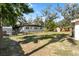 Backyard featuring a large green lawn and a shed at 404 Courtney Dr, Temple Terrace, FL 33617