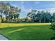 Expansive backyard with lush green grass and mature trees providing ample shade and privacy at 302 Coco Plum Ct, Oldsmar, FL 34677