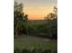 A serene backyard view with lush greenery, silhouetted trees, and a vibrant sunset sky at 302 Coco Plum Ct, Oldsmar, FL 34677