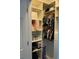 Walk-in closet featuring custom shelves for storing clothing and supplies at 302 Coco Plum Ct, Oldsmar, FL 34677