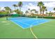Well-maintained community tennis court, perfect for recreational play and exercise at 302 Coco Plum Ct, Oldsmar, FL 34677
