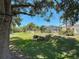 Expansive backyard with a screened-in pool, offering a private oasis surrounded by lush landscaping at 1913 Blue River Rd, Holiday, FL 34691