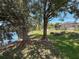 Lush backyard with mature trees and partial lake view, featuring a screened pool and privacy fence at 1913 Blue River Rd, Holiday, FL 34691