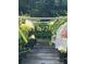 A lovely dragon fruit stand with beautiful blossoms at 18620 Wayne Rd, Odessa, FL 33556