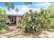 View of the backyard, surrounded by lush landscaping and mature trees at 251 Tropic W Blvd, Largo, FL 33770