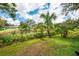 Lush backyard with palm trees and canal views, enhancing waterfront living at 2504 Tanglewood Dr, Sarasota, FL 34239