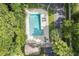 Aerial view of the pool featuring poolside furniture, a sunning deck, and surrounding greenery at 11239 Cedar Hollow Ln, Tampa, FL 33618