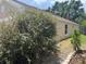 Exterior shot of the home showcasing lush landscaping and neatly trimmed greenery on a sunny day at 12421 Early Run Ln, Riverview, FL 33578