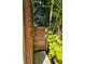 Outdoor shower featuring wood walls, perfect for rinsing off after a swim in the pool at 2408 Nassau St, Sarasota, FL 34231