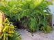 Landscaped side yard with wood fencing, and tropical plantings, offers privacy and curb appeal at 2408 Nassau St, Sarasota, FL 34231
