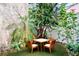 Outdoor patio area with a table and chairs surrounded by lush greenery and plant life at 5641 Ashley Oaks Dr # 39, Tampa, FL 33617