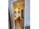 A well-lit bathroom includes wood cabinets and a doorway that leads to the outside at 1829 Mira Lago Cir, Ruskin, FL 33570