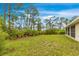 Lush green backyard featuring tall pines and a tranquil setting at 14256 Salvatierra Ln, Port Charlotte, FL 33981