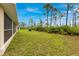 Lush green backyard featuring tropical foliage and a tranquil setting at 14256 Salvatierra Ln, Port Charlotte, FL 33981