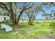 Beautiful backyard with mature trees, lush greenery, and peaceful lake view at 14050 Blackjack Rd, Dover, FL 33527