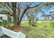 Beautiful backyard with mature trees, lush greenery, and peaceful lake view at 14050 Blackjack Rd, Dover, FL 33527