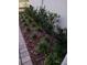 Beautiful landscaping featuring decorative stone mulch and neatly arranged green shrubs at 12513 Oak Hill Way, Parrish, FL 34219