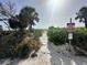 Sandy path through lush dune vegetation leads to a secluded private beach at 3528 Casablanca Ave, St Petersburg, FL 33706