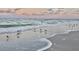 A peaceful beach scene with birds foraging along the shoreline at dusk at 3528 Casablanca Ave, St Petersburg, FL 33706