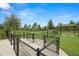 Well-maintained community dog park with separate fenced areas, amenities, and green space at 7163 Talamore Dr, Wesley Chapel, FL 33545