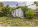Backyard shed surrounded by lush greenery at 5101 Town N Country Blvd, Tampa, FL 33615
