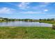 Expansive lakefront backyard with lush greenery and scenic water views at 11018 Pine Lilly Pl, Lakewood Ranch, FL 34202