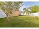 Well-maintained backyard features lush green lawn, privacy fence, and mature tree for shade at 32717 Coldwater Creek Loop, Wesley Chapel, FL 33545