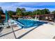Community pool area with ample seating, umbrellas, and palm trees, perfect for relaxation at 1122 Montrose Pl # 1713, Dunedin, FL 34698