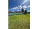 Spacious backyard featuring green grass and a privacy fence, perfect for outdoor activities at 13244 Satin Lily Dr, Riverview, FL 33579