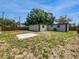 Wide backyard with fencing and mature trees, offering ample space for outdoor activities, and a view of the house at 5001 S 88Th St, Tampa, FL 33619