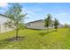 Spacious backyard with well-maintained lawn and young trees providing a serene outdoor space at 8297 Ivy Stark Blvd, Wesley Chapel, FL 33545