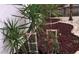 An outdoor space featuring lush vegetation and planters at 3680 Whiting Se Dr, St Petersburg, FL 33705
