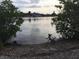 Scenic view of a calm waterfront surrounded by lush greenery and distant houses at 3680 Whiting Se Dr, St Petersburg, FL 33705