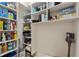 Well-organized pantry featuring ample shelving for storing food items, kitchen appliances, and cleaning supplies at 11402 Peckham Pl, Tampa, FL 33625