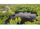 Natural pond surrounded by lush greenery, providing a scenic view of the neighborhood at 11402 Peckham Pl, Tampa, FL 33625
