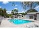 Large community swimming pool with lounge chairs, umbrellas and lush palm trees on a bright, sunny day at 4203 Fairway Run, Tampa, FL 33618