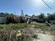 Overgrown backyard with old shed at 1009 S Clark Ave, Tampa, FL 33629