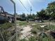 Overgrown backyard at 1009 S Clark Ave, Tampa, FL 33629