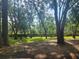 Serene park area with lush greenery and mature trees providing ample shade at 2247 Golden Oak Ln, Valrico, FL 33594
