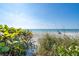 Picturesque beach view showing the tranquil ocean with clear skies, lush vegetation, and a relaxing beach scene at 4311 123Rd W St, Cortez, FL 34215