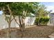 Backyard featuring mature trees and a gravel area at 23109 Emerson Way, Land O Lakes, FL 34639