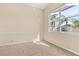 Cozy bedroom with natural light at 23109 Emerson Way, Land O Lakes, FL 34639