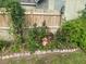 A lovely rose garden with brick borders is featured in this fenced back yard at 10533 Hazel St, Largo, FL 33778