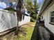 Lush green backyard with grass and palm trees situated next to house with white fence at 5627 Oakland Dr, Tampa, FL 33617