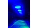 Inviting pool with striking blue lights, surrounded by lush tropical plants for ultimate relaxation at 15301 Chinook Way, Port Charlotte, FL 33981